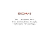 ENZIMAS Ana C. Colarossi, MSc Dpto de Bioquímica, Biología Molecular y Farmacología.