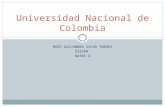 ROSS ALEJANDRA SILVA TORRES 223590 RAYOS X Universidad Nacional de Colombia.