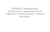 TEMA 8.- Pensamiento. Planificación y organización de la cognición: Lóbulos frontales y déficits ejecutivos.