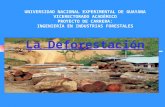 UNIVERSIDAD NACIONAL EXPERIMENTAL DE GUAYANA VICERECTORADO ACADÉMICO PROYECTO DE CARRERA: INGENIERÍA EN INDUSTRIAS FORESTALES La Deforestación.