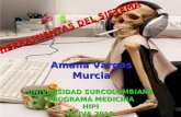 HERRAMIENTAS DEL SISTEMA Amalia Vargas Murcia UNIVERSIDAD SURCOLOMBIANA PROGRAMA MEDICINA HIPI NEIVA 2010.