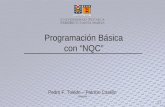 Programación Básica con “NQC” Pedro F. Toledo – Patricio Castillo 15/08/2006.