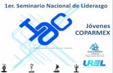 Misión Contribuir a la formación de las mesas directivas de la Comisión de Empresarios Jóvenes COPARMEX, fomentando la unión, el trabajo colaborativo.