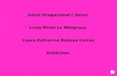Salud Ocupacional ( Sena). Liceo Mixto La Milagrosa. Laura Katherine Bedoya Correa Undécimo.