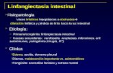 Linfangiectasia intestinal  Fisiopatología Vasos linfáticos hipoplásicos o obstruidos  dilatación linfática y pérdida de linfa hacia la luz intestinal.
