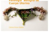Cabrera Duran Natalie. Patología Benigna de Cuerpo Uterino.