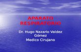 APARATO RESPIRATORIO Dr. Hugo Nazario Valdez Gómez Medico Cirujano.