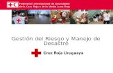Federación Internacional de Sociedades de la Cruz Roja y de la Media Luna Roja Gestión del Riesgo y Manejo de Desastre.