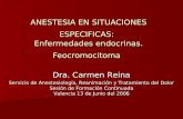 ANESTESIA EN SITUACIONES ESPECIFICAS: Enfermedades endocrinas. Feocromocitoma Dra. Carmen Reina Servicio de Anestesiología, Reanimación y Tratamiento del.