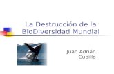 La Destrucción de la BioDiversidad Mundial Juan Adrián Cubillo.