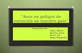 “Aves en peligro de extinción en nuestro país” Preparado por: Alaín, Nancy Barrios, Zoila Pérez, Ely Vega, Margarita.