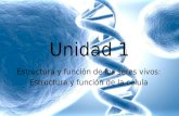 Unidad 1 Estructura y función de los seres vivos: Estructura y función de la célula.