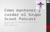 Cómo mantener y cuidar el Grupo Scout Paicaví Reunión Ampliada Apoderados y Jefes del grupo Scout Fecha 06/05/2015.