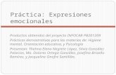 Práctica: Expresiones emocionales Productos obtenidos del proyecto INFOCAB PB201209 Prácticas demostrativas para las materias de: Higiene mental, Orientación.
