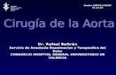 Sesion SARTD-CHGUV 15.11.05 Dr. Rafael Beltrán Servicio de Anestesia Reanimacion y Terapeutica del Dolor CONSORCIO HOSPITAL GENERAL UNIVERSITARIO DE VALENCIA.