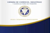 CÁMARA DE COMERCIO, INDUSTRIAS Y AGRICULTURA DE PANAMÁ Baluarte y Vanguardia de la Libertad Empresarial.