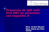 Presencia de IgM anti- VCA EBV en pacientes con hepatitis A Bioq. Corina Micozzi Bioq. María del Pilar Corral.