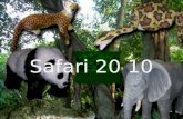 Safari 20 10. SAFARI NORDELTA 2010 TEMATICA DEL EVENTO Invitar a que en Familia realicen un viaje por la selva, donde los grandes van a vivenciar cómo.