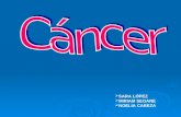 SARA LÓPEZ  MIRIAM SEOANE  NOELIA CABEZA. ¿Qué es el cáncer?  El cáncer es un conjunto de enfermedades en las cuales el organismo produce un exceso.