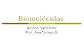 Biomoléculas Ácidos nucleicos Prof: Ana Vallejo G.