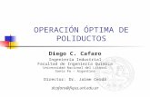 OPERACIÓN ÓPTIMA DE POLIDUCTOS Diego C. Cafaro Ingeniería Industrial Facultad de Ingeniería Química Universidad Nacional del Litoral Santa Fe – Argentina.