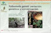Estrategias de conservación de especies Talbotiella gentii: variación genética y conservación David Boshier, Daniel Dompreh y Mike Swaine.