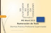 UNIVERSIDAD NACIONAL DE AGRICULTURA Informática I MS Word 2013 Numeración de Tesis (Normas Práctica Profesional Supervisada) III Año IA UNA. Informática.