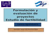 Formulación y evaluación de proyectos Estudio de factibilidad Carrera: Agroindustria Docente: Jorge Luis Martínez Rayo.