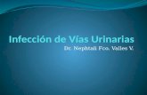 Dr. Nephtali Fco. Valles V.. INFECCION URINARIA Su duración media es superior a los 7 días y supone mas del 10% de las bajas La presencia de catéteres.