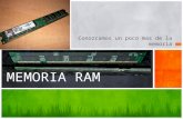 Conozcamos un poco mas de la memoria MEMORIA RAM.