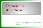 PrincipiosJurídicos Lic. Rodrigo Ignacio Chávez Del Castillo.
