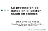 La protección de datos en el sector salud en México Lina Ornelas Núñez Directora General de Clasificación y Datos Personales IFAI 14 de noviembre de 2008.