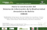 Hacia la construcción del Sistema de información de la Biodiversidad Amazónica de Bolivia (SIBAB) Claudia Cortez, Rodrigo Aguayo, Jose Antonio Balderrama,