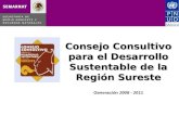 Consejo Consultivo para el Desarrollo Sustentable de la Región Sureste Consejo Consultivo para el Desarrollo Sustentable de la Región Sureste Generación.