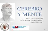 CEREBRO Y MENTE Dra. Lucía Gallego Instituto de Psiquiatría y Salud Mental.