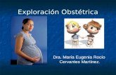 Exploración Obstétrica Dra. María Eugenia Rocío Cervantes Martínez.