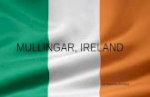 Mullingar, Ireland Naeema, Somaiya MULLINGAR, IRELAND By.Naeema,Somaiya.