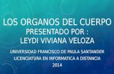 LOS ORGANOS DEL CUERPO PRESENTADO POR : LEYDI VIVIANA VELOZA UNIVERSIDAD FRANCISCO DE PAULA SANTANDER LICENCIATURA EN INFORMATICA A DISTANCIA 2014.