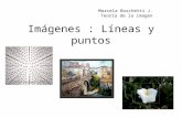 Imágenes : Líneas y puntos Marcela Boschetti J. Teoría de la imagen.