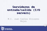 1 Servidores de entrada/salida (I/O servers) M.C. Juan Carlos Olivares Rojas.