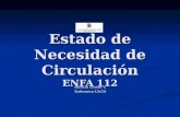 Estado de Necesidad de Circulación ENFA 112 Patricia Triviño V. Enfermera-UACH.