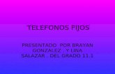 TELEFONOS FIJOS PRESENTADO POR BRAYAN GONZALEZ. Y LINA SALAZAR. DEL GRADO 11.1.