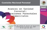 Avances en Sanidad Forestal: Plantaciones Forestales Comerciales Reunión del Comité de Técnico de Protección y Conservación Forestal del CONAF 06 de mayo.