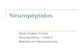 Neuropéptidos Silvia Suárez Cunza Neuroquímica – 2009-II Maestría en Neurociencias.