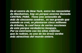 En el centro de New York, entre los rascacielos de Manhattan, hay un parque enorme llamado CENTRAL PARK. Tiene una extensión de más de cincuenta cuadras,