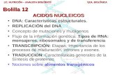 ACIDOS NUCLEICOS DNA: Características estructurales. REPLICACIÓN del DNA Concepto de mutaciones y mutágenos Flujo de la información genética: Tipos de.