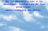 De la desnutrición a la obesidad: evolución de los problemas nutricionales en Chile.