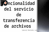 Gabriel Montañés León.  Respecto Diseño del Servicio: 1.La conexión de un usuario remoto al servidor FTP puede hacerse como inicio de una sesión de un.