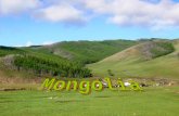 Los mongoles constituyen una de las principales etnias del norte y el oriente de Asia, formada por un conjunto de pueblos que poseen lazos culturales.