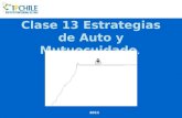 Clase 13 Estrategias de Auto y Mutuocuidado. 2011.